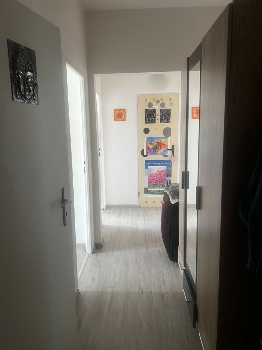 Pronájem bytu 2+1 55 m², Slavíčkova, Brno, Jihomoravský kraj Pronájem bytu 2+1 55 m², Slavíčkova, Brno, Jihomoravský kraj
