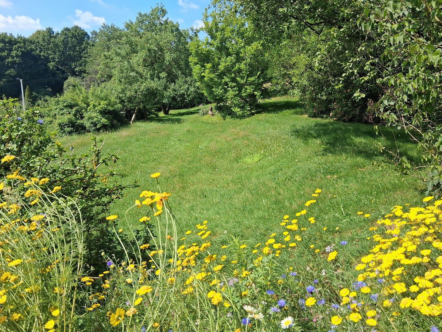 Prodej domu 290 m², pozemek 2.300 m², Witten, Severní Porýní-Vestfálsko Prodej domu 290 m², pozemek 2.300 m², Witten, Severní Porýní-Vestfálsko