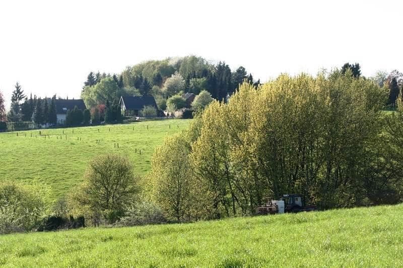Prodej domu 195 m², pozemek 829 m², Neunkirchen-Seelscheid, Severní Porýní-Vestfálsko Prodej domu 195 m², pozemek 829 m², Neunkirchen-Seelscheid, Severní Porýní-Vestfálsko