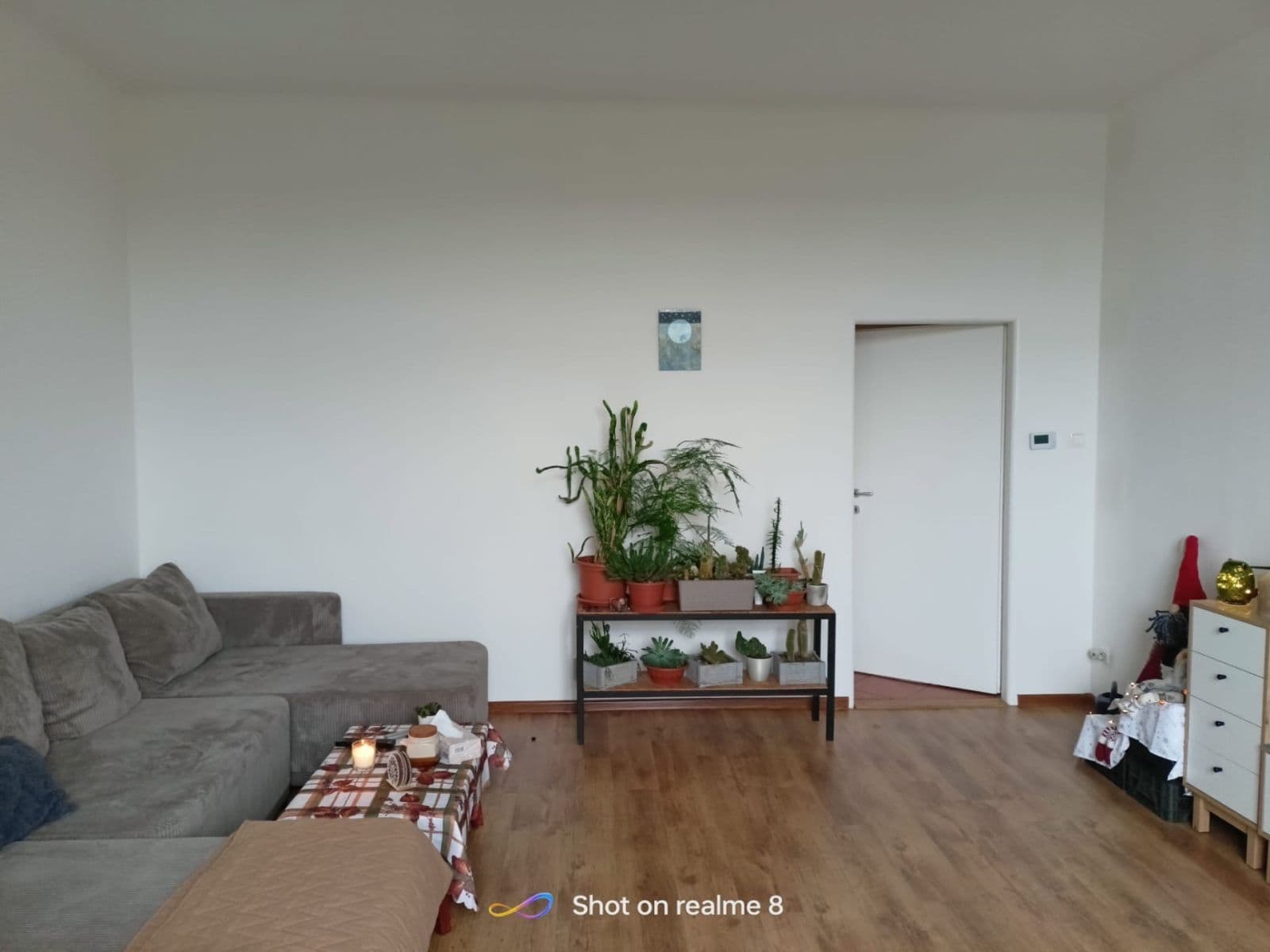 Pronájem bytu 2+1 75 m², Husova, Liberec, Liberecký kraj Pronájem bytu 2+1 75 m², Husova, Liberec, Liberecký kraj