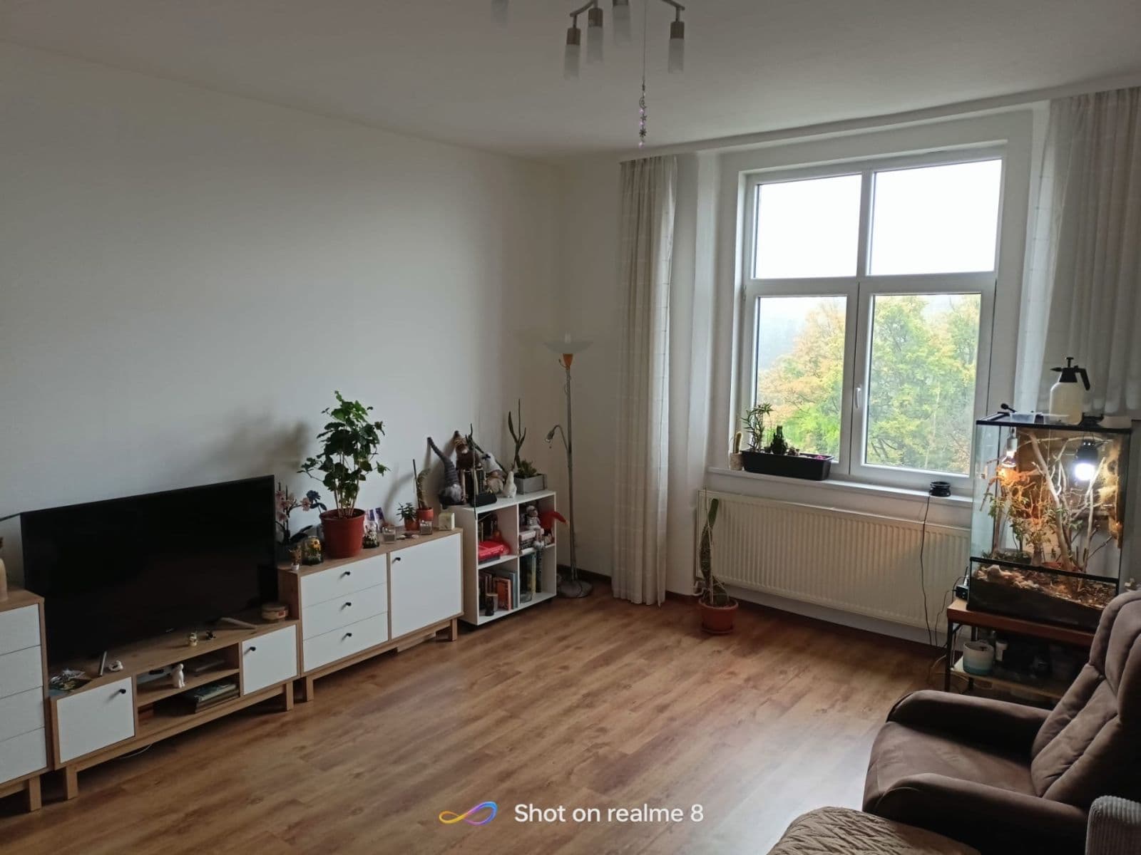 Pronájem bytu 2+1 75 m², Husova, Liberec, Liberecký kraj Pronájem bytu 2+1 75 m², Husova, Liberec, Liberecký kraj