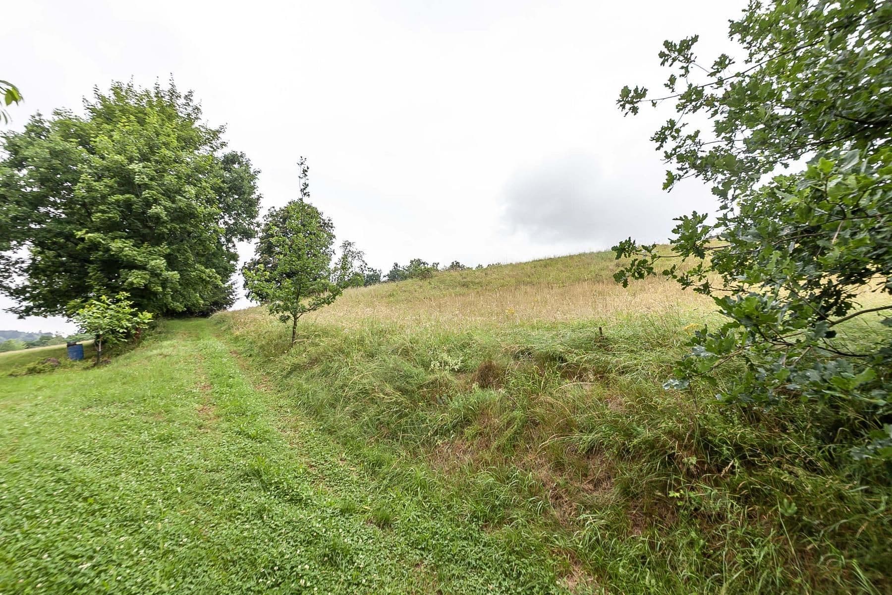 Prodej pozemku 4.517 m², Slaná, Liberecký kraj Prodej pozemku 4.517 m², Slaná, Liberecký kraj