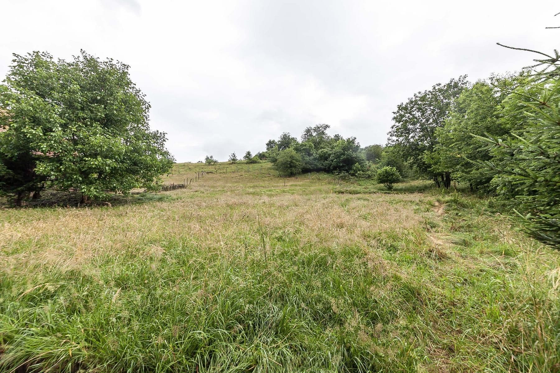 Prodej pozemku 4.517 m², Slaná, Liberecký kraj Prodej pozemku 4.517 m², Slaná, Liberecký kraj