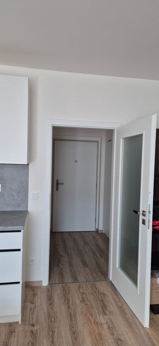 Pronájem bytu 1+kk 33 m², Sedlářova, Praha, Praha Pronájem bytu 1+kk 33 m², Sedlářova, Praha, Praha