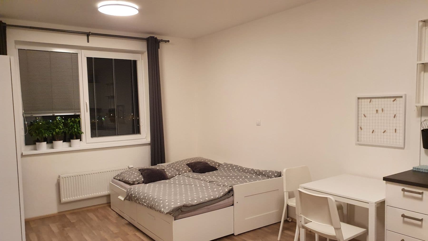 Pronájem bytu 1+kk 30 m², Magisterská, Plzeň, Plzeňský kraj Pronájem bytu 1+kk 30 m², Magisterská, Plzeň, Plzeňský kraj
