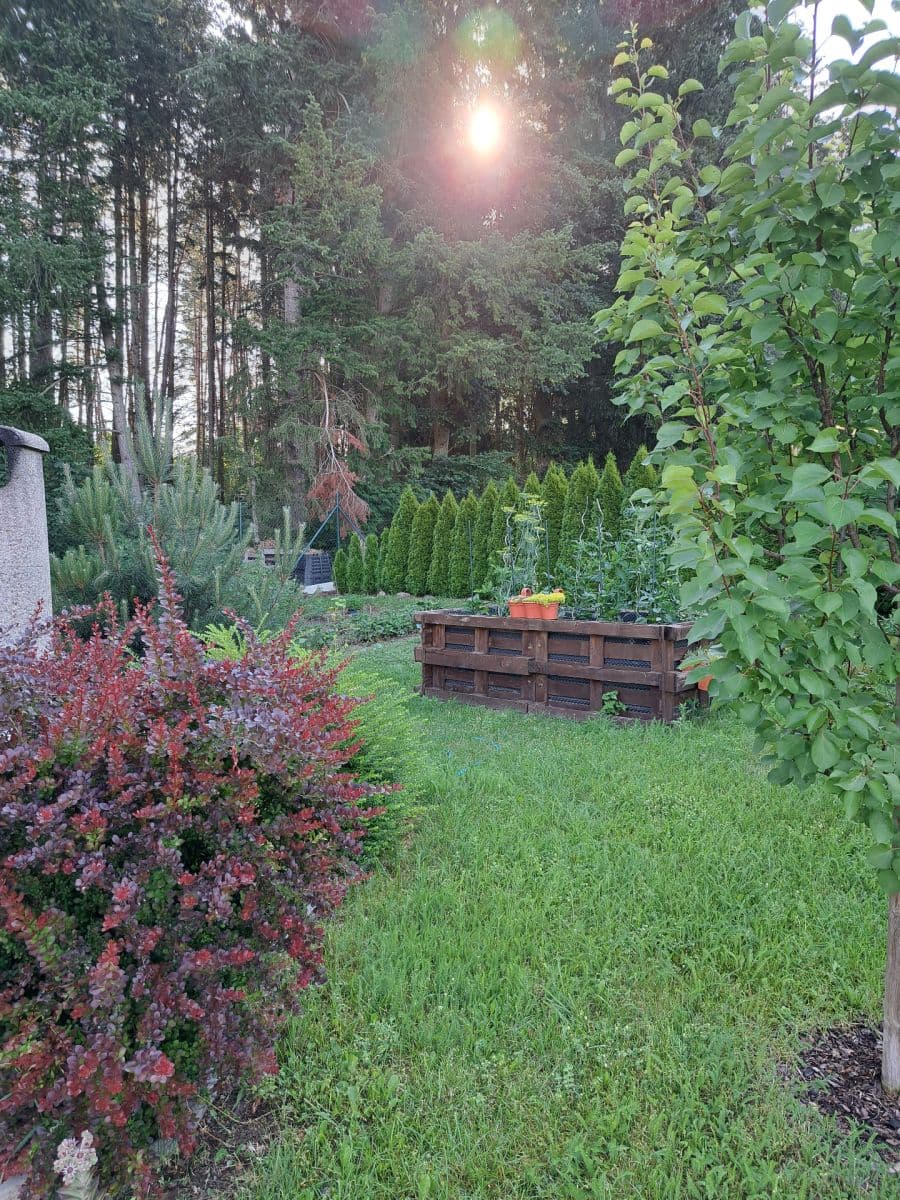 Prodej pozemku 768 m², Krásná Hora nad Vltavou, Středočeský kraj Prodej pozemku 768 m², Krásná Hora nad Vltavou, Středočeský kraj