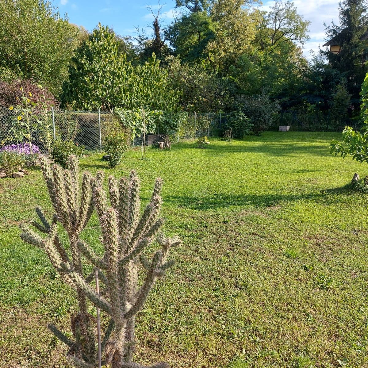 Prodej domu 118 m², pozemek 1.009 m², Číž, Banskobystrický kraj Prodej domu 118 m², pozemek 1.009 m², Číž, Banskobystrický kraj