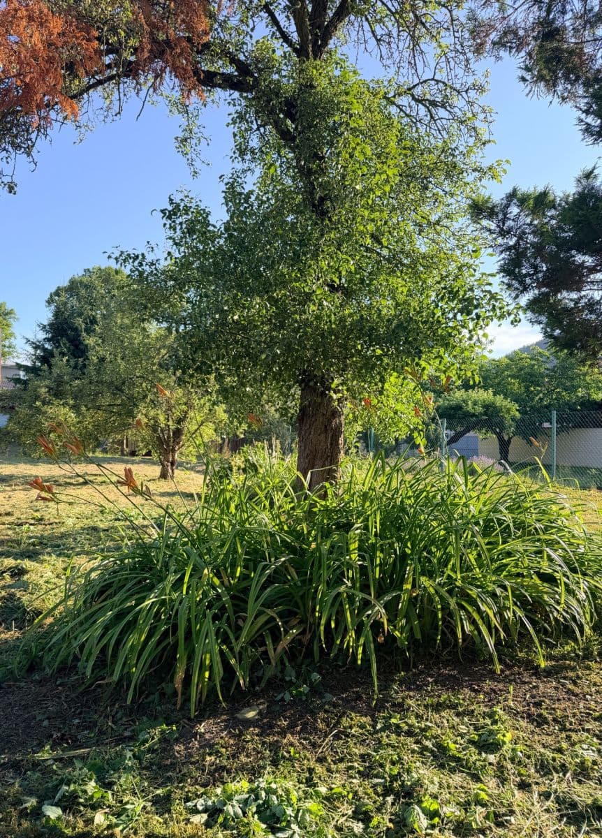 Prodej domu 135 m², pozemek 873 m², Olomoucká, Moravská Třebová, Pardubický kraj Prodej domu 135 m², pozemek 873 m², Olomoucká, Moravská Třebová, Pardubický kraj