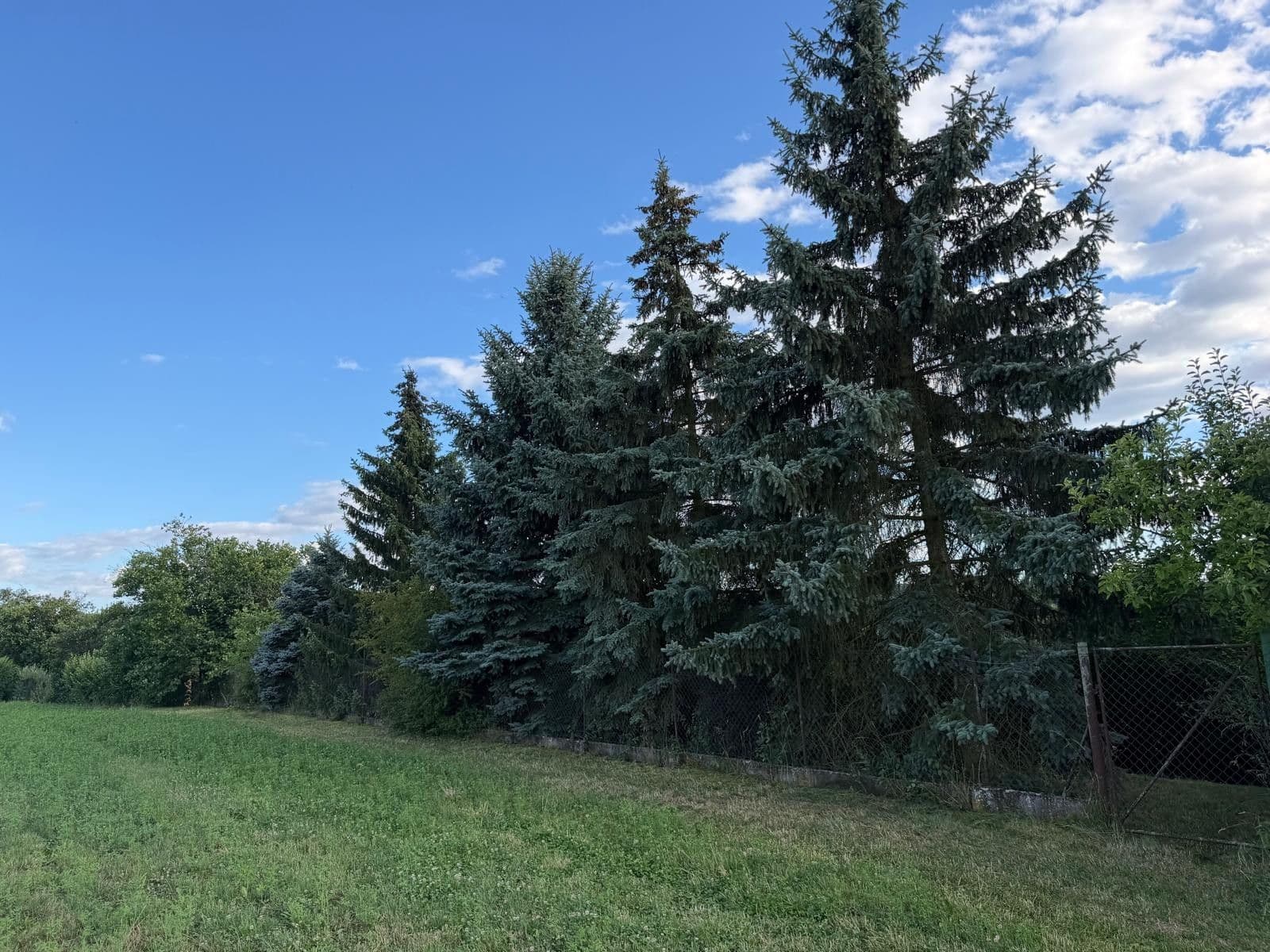 Prodej chaty, chalupy 800 m², pozemek 799 m², 298, Dobruška, Královéhradecký kraj Prodej chaty, chalupy 800 m², pozemek 799 m², 298, Dobruška, Královéhradecký kraj