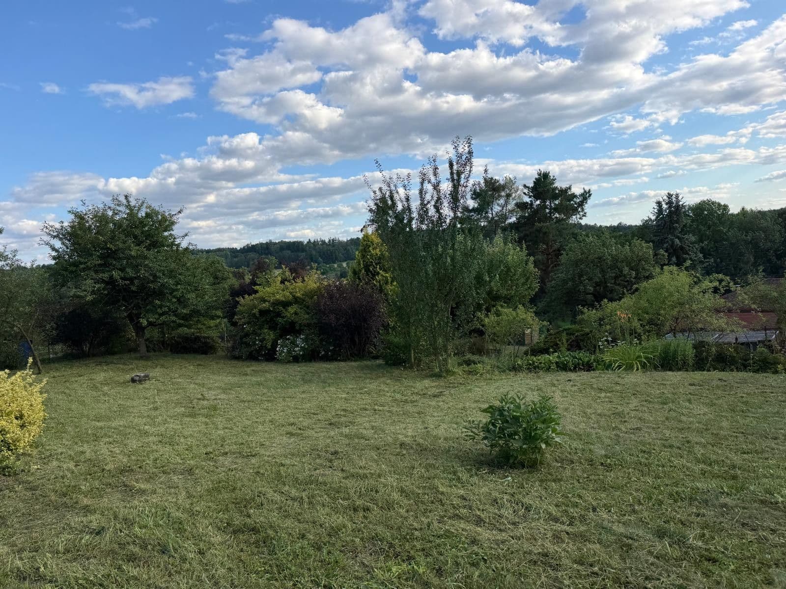 Prodej chaty, chalupy 800 m², pozemek 799 m², 298, Dobruška, Královéhradecký kraj Prodej chaty, chalupy 800 m², pozemek 799 m², 298, Dobruška, Královéhradecký kraj