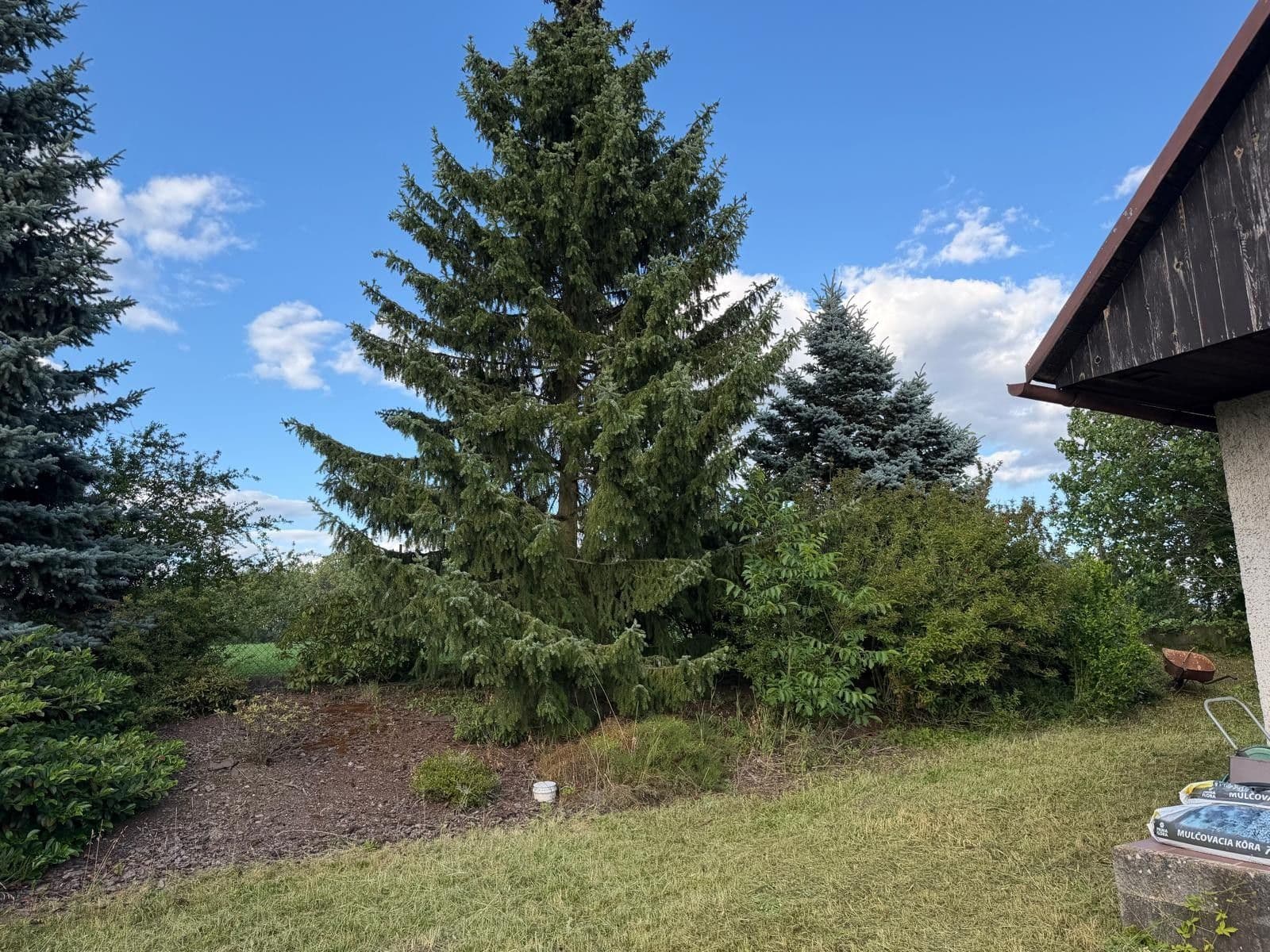 Prodej chaty, chalupy 800 m², pozemek 799 m², 298, Dobruška, Královéhradecký kraj Prodej chaty, chalupy 800 m², pozemek 799 m², 298, Dobruška, Královéhradecký kraj