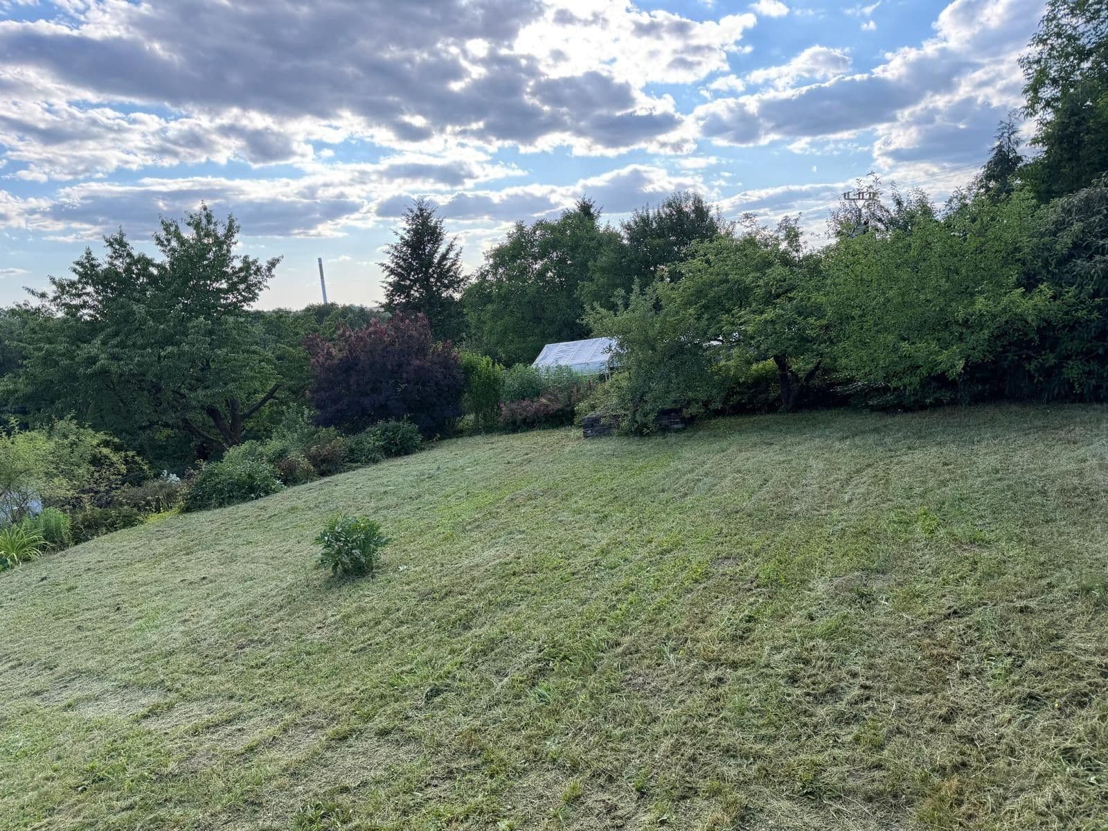 Prodej chaty, chalupy 800 m², pozemek 799 m², 298, Dobruška, Královéhradecký kraj Prodej chaty, chalupy 800 m², pozemek 799 m², 298, Dobruška, Královéhradecký kraj