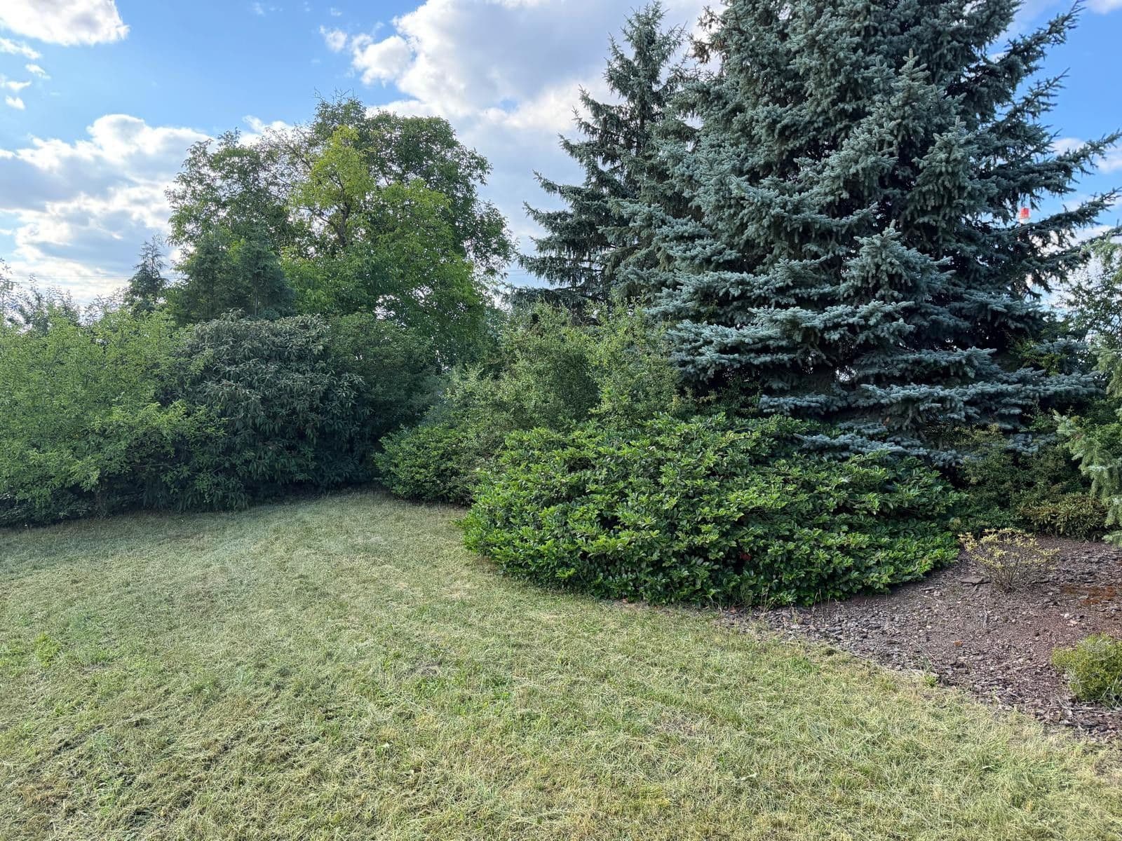 Prodej chaty, chalupy 800 m², pozemek 799 m², 298, Dobruška, Královéhradecký kraj Prodej chaty, chalupy 800 m², pozemek 799 m², 298, Dobruška, Královéhradecký kraj