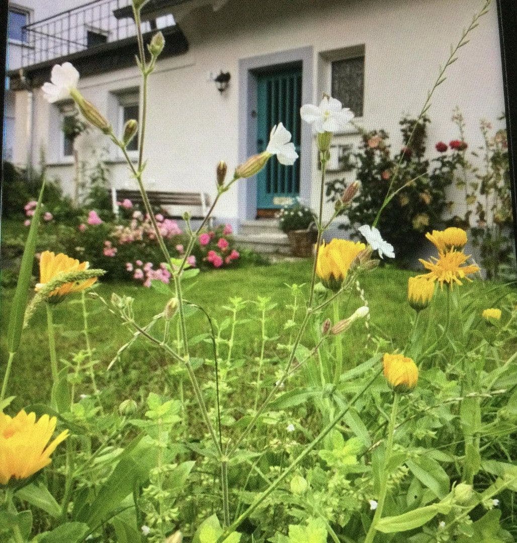 Pronájem domu 120 m², pozemek 202 m², Nümbrecht, Severní Porýní-Vestfálsko Pronájem domu 120 m², pozemek 202 m², Nümbrecht, Severní Porýní-Vestfálsko