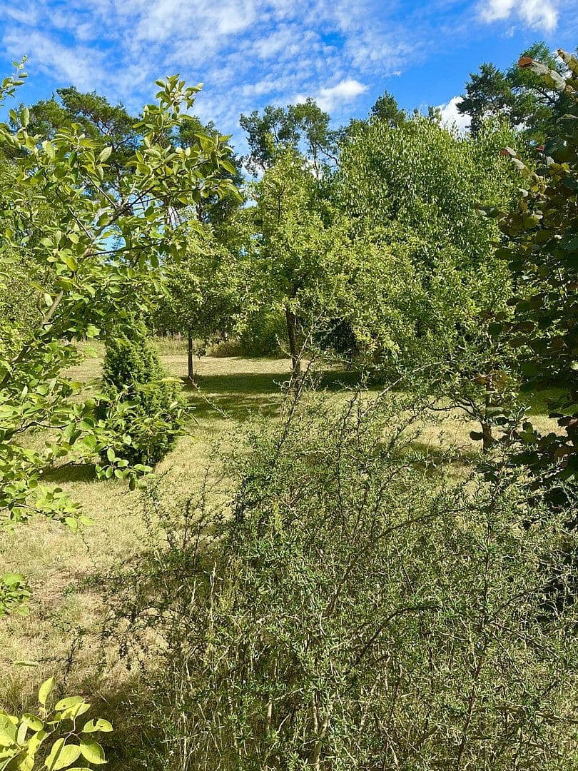 Prodej pozemku 3.362 m², Schünower Weg, Am Mellensee, Braniborsko Prodej pozemku 3.362 m², Schünower Weg, Am Mellensee, Braniborsko