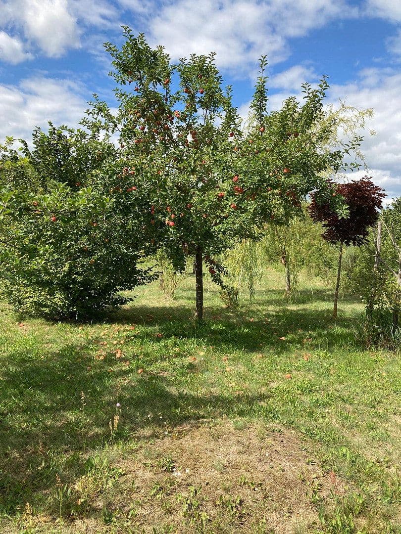 Prodej pozemku 3.362 m², Schünower Weg, Am Mellensee, Braniborsko Prodej pozemku 3.362 m², Schünower Weg, Am Mellensee, Braniborsko