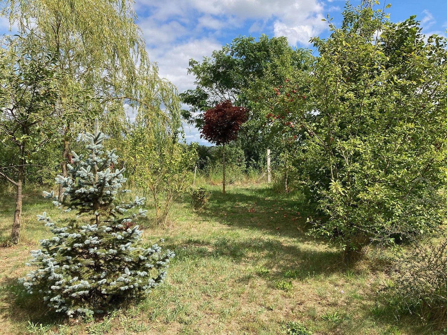 Prodej pozemku 3.362 m², Schünower Weg, Am Mellensee, Braniborsko Prodej pozemku 3.362 m², Schünower Weg, Am Mellensee, Braniborsko