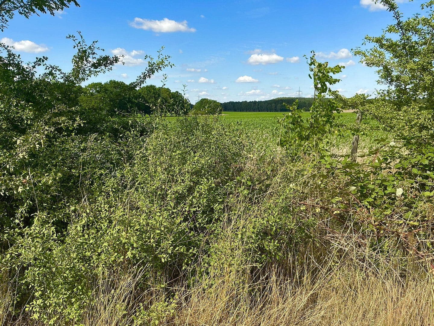Prodej pozemku 3.362 m², Schünower Weg, Am Mellensee, Braniborsko Prodej pozemku 3.362 m², Schünower Weg, Am Mellensee, Braniborsko
