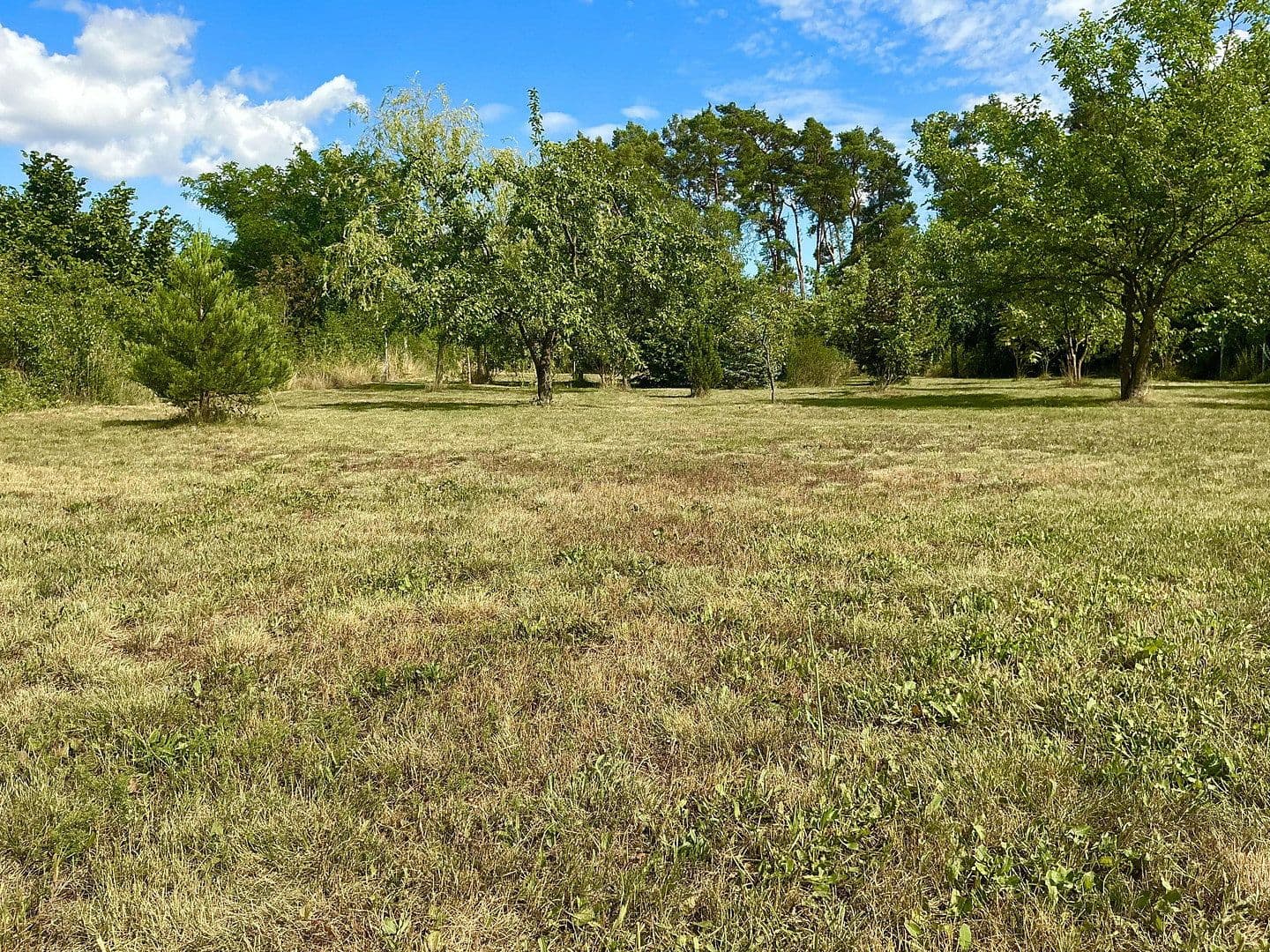 Prodej pozemku 3.362 m², Schünower Weg, Am Mellensee, Braniborsko Prodej pozemku 3.362 m², Schünower Weg, Am Mellensee, Braniborsko