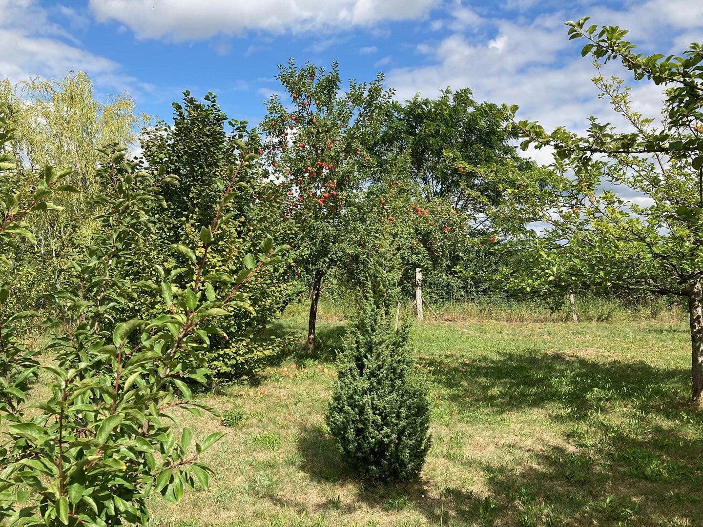 Prodej pozemku 3.362 m², Schünower Weg, Am Mellensee, Braniborsko Prodej pozemku 3.362 m², Schünower Weg, Am Mellensee, Braniborsko