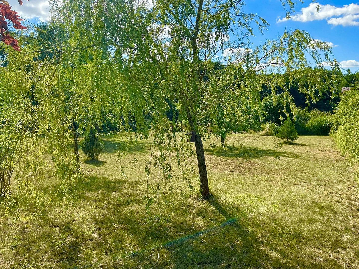 Prodej pozemku 3.362 m², Schünower Weg, Am Mellensee, Braniborsko Prodej pozemku 3.362 m², Schünower Weg, Am Mellensee, Braniborsko