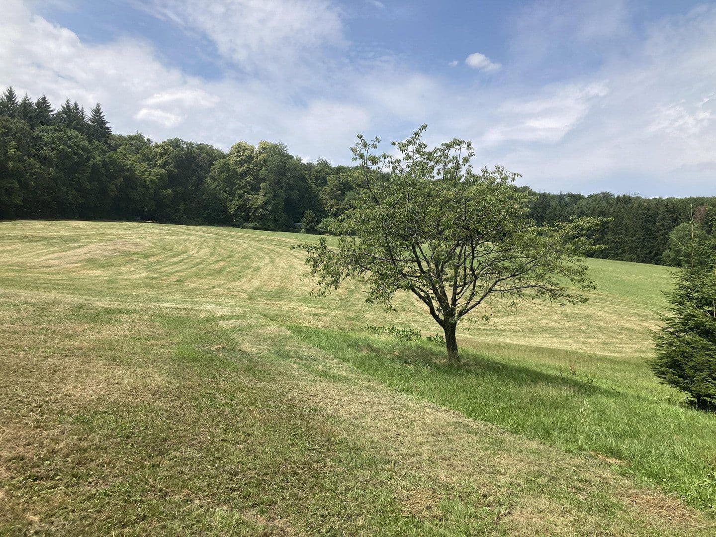 Prodej pozemku 7.230 m², Göppingen, Bádensko-Württembersko Prodej pozemku 7.230 m², Göppingen, Bádensko-Württembersko