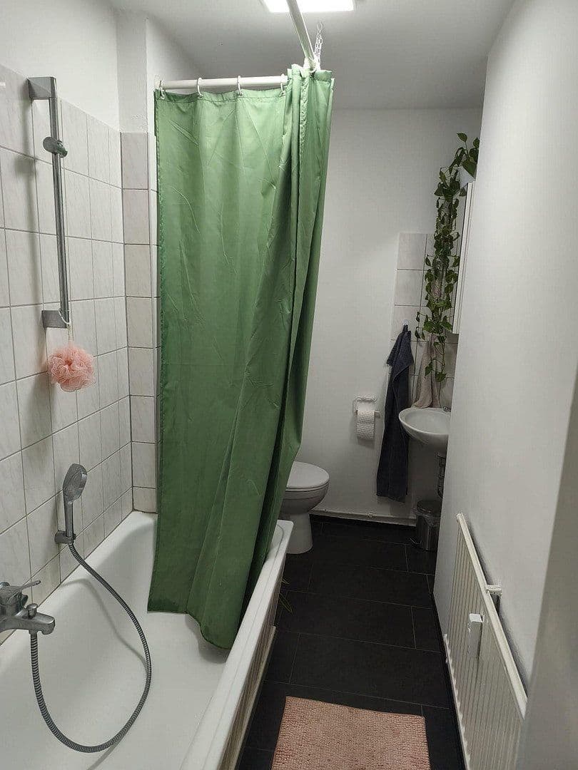 Pronájem bytu 1+1 25 m², Bibienastraße, Mannheim, Bádensko-Württembersko Pronájem bytu 1+1 25 m², Bibienastraße, Mannheim, Bádensko-Württembersko