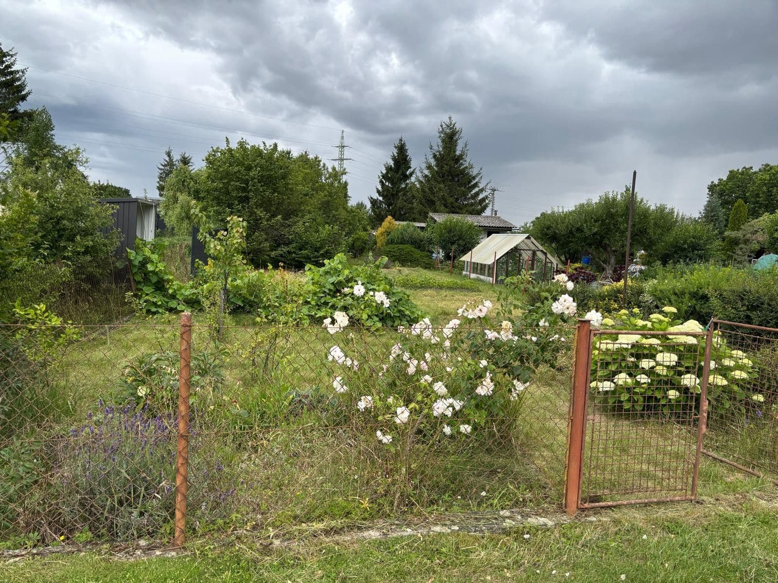 Pronájem pozemku 401 m², Poděbrady, Středočeský kraj Pronájem pozemku 401 m², Poděbrady, Středočeský kraj
