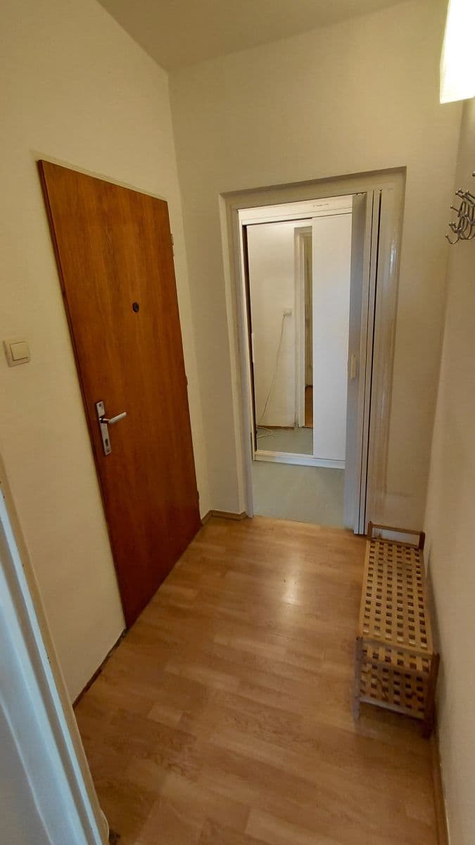 Pronájem bytu 1+kk 30 m², Novoměstská, Brno, Jihomoravský kraj Pronájem bytu 1+kk 30 m², Novoměstská, Brno, Jihomoravský kraj