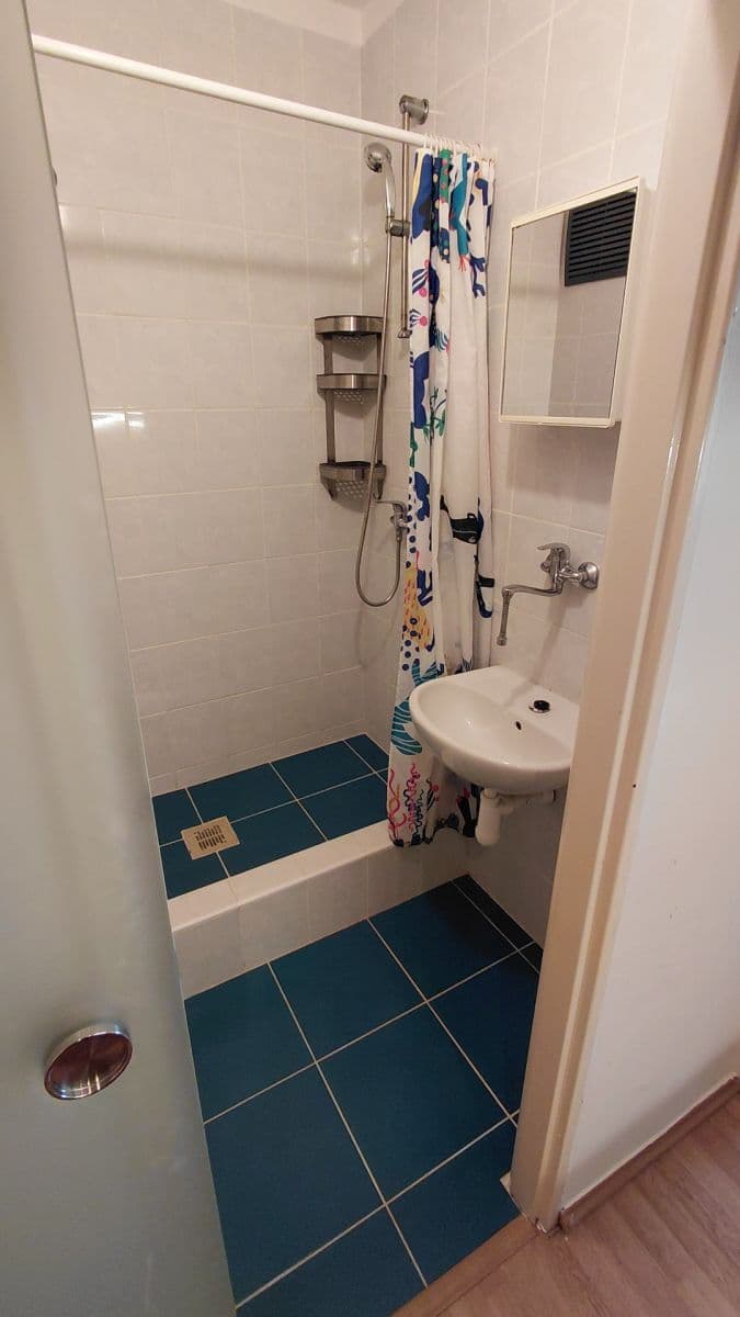 Pronájem bytu 1+kk 30 m², Novoměstská, Brno, Jihomoravský kraj Pronájem bytu 1+kk 30 m², Novoměstská, Brno, Jihomoravský kraj