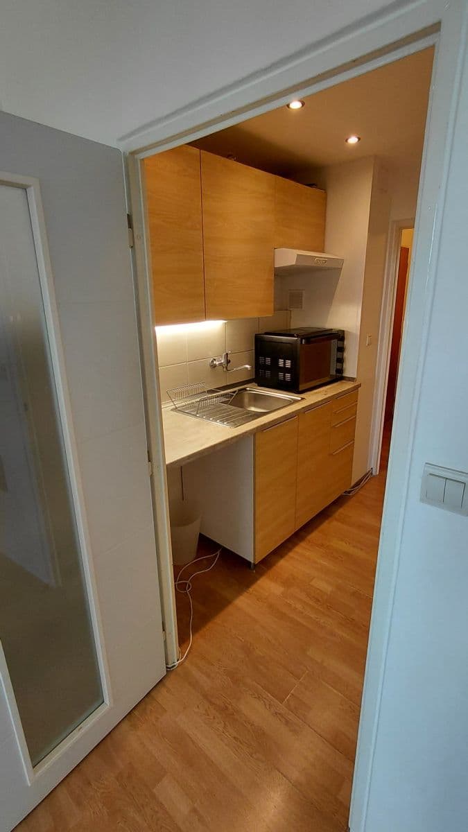 Pronájem bytu 1+kk 30 m², Novoměstská, Brno, Jihomoravský kraj Pronájem bytu 1+kk 30 m², Novoměstská, Brno, Jihomoravský kraj