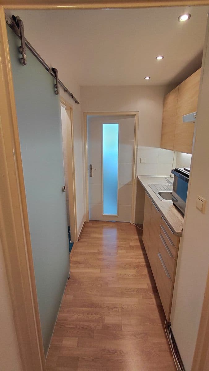 Pronájem bytu 1+kk 30 m², Novoměstská, Brno, Jihomoravský kraj Pronájem bytu 1+kk 30 m², Novoměstská, Brno, Jihomoravský kraj