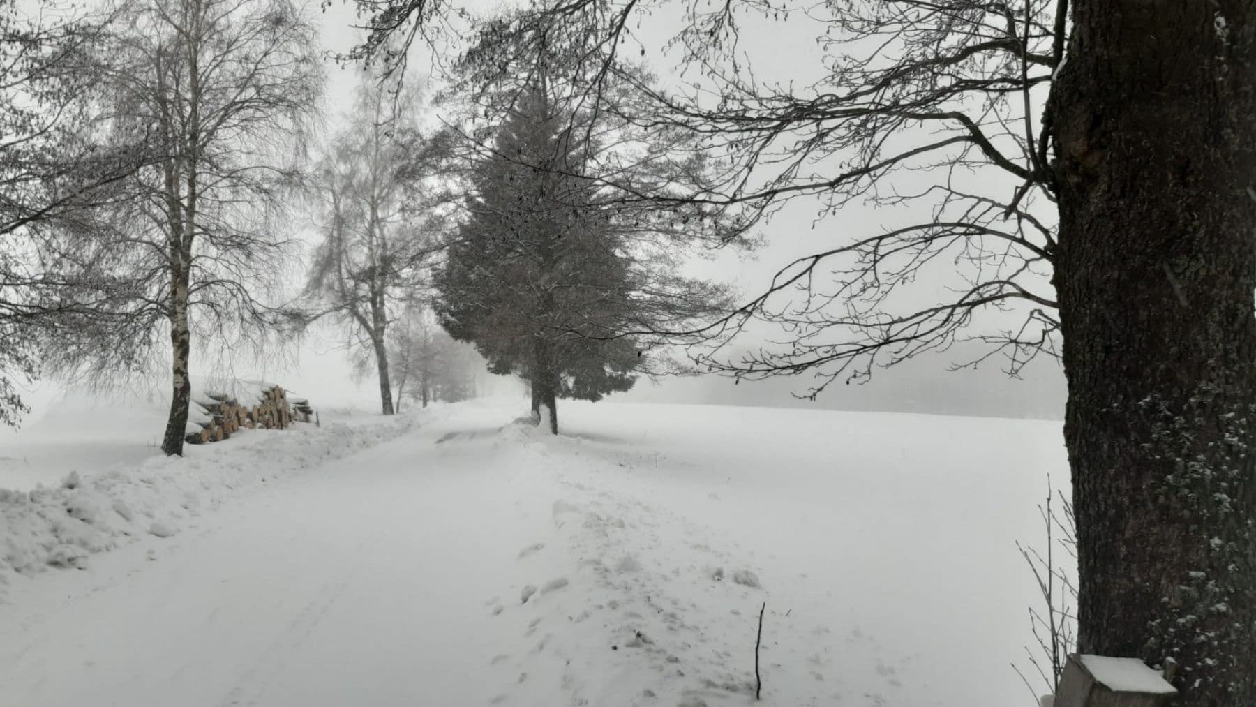 Prodej domu 188 m², pozemek 1.400 m², Rokytnice v Orlických horách, Královéhradecký kraj Prodej domu 188 m², pozemek 1.400 m², Rokytnice v Orlických horách, Královéhradecký kraj