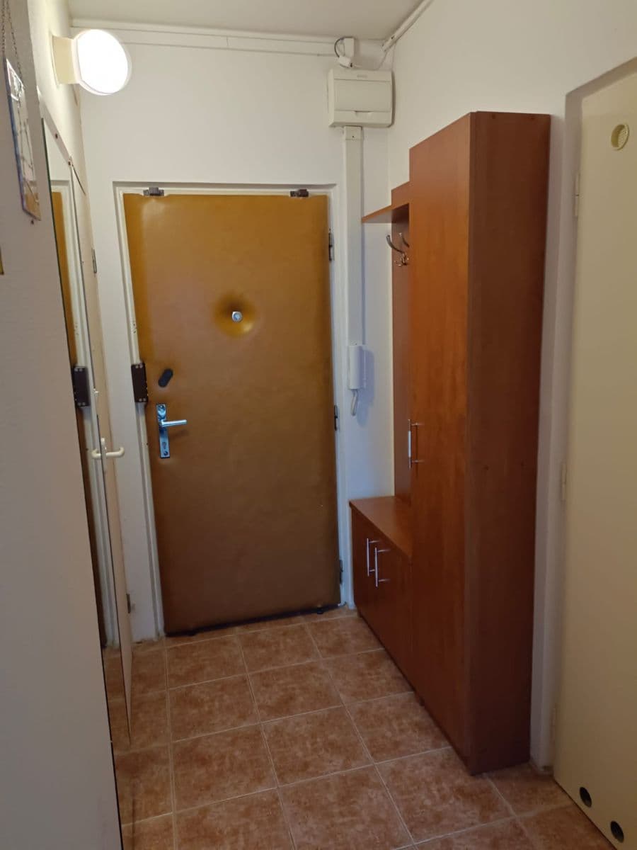 Pronájem bytu 1+1 34 m², Novoměstská, Brno, Jihomoravský kraj Pronájem bytu 1+1 34 m², Novoměstská, Brno, Jihomoravský kraj