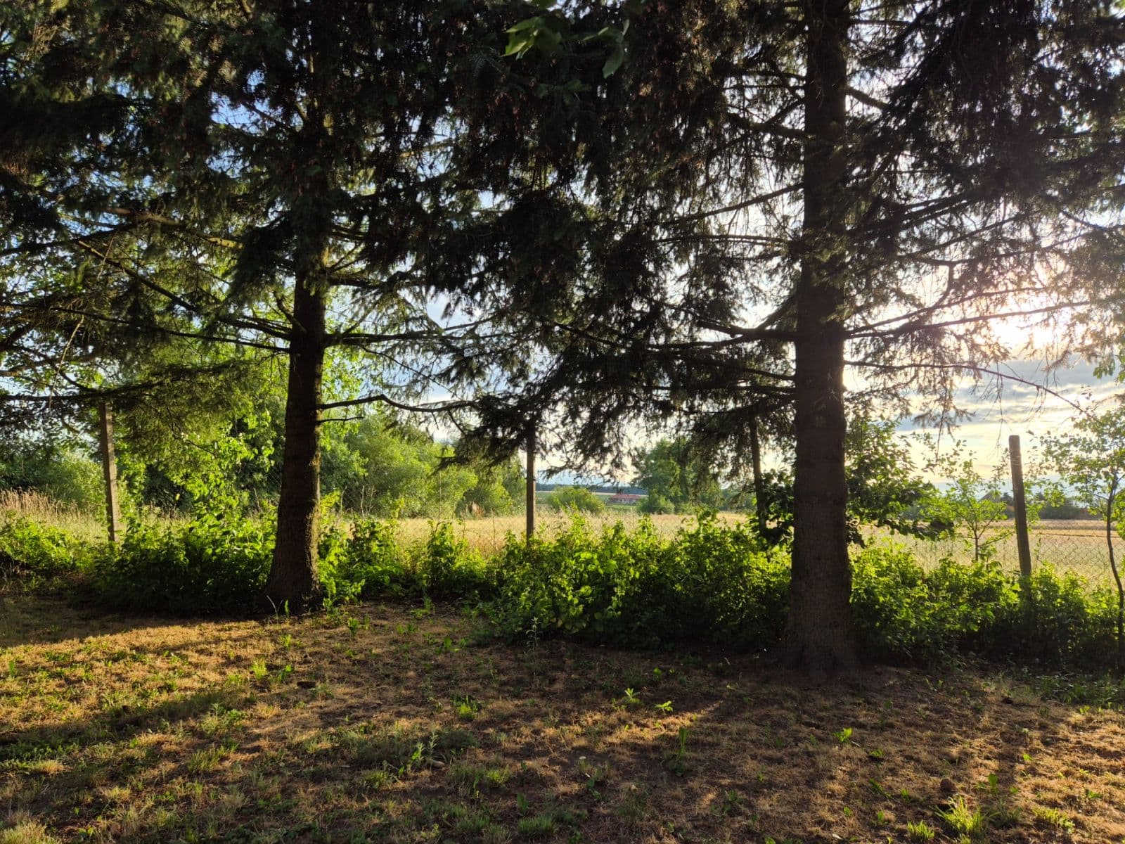 Prodej domu 186 m², pozemek 1.309 m², Štítary, Jihomoravský kraj Prodej domu 186 m², pozemek 1.309 m², Štítary, Jihomoravský kraj