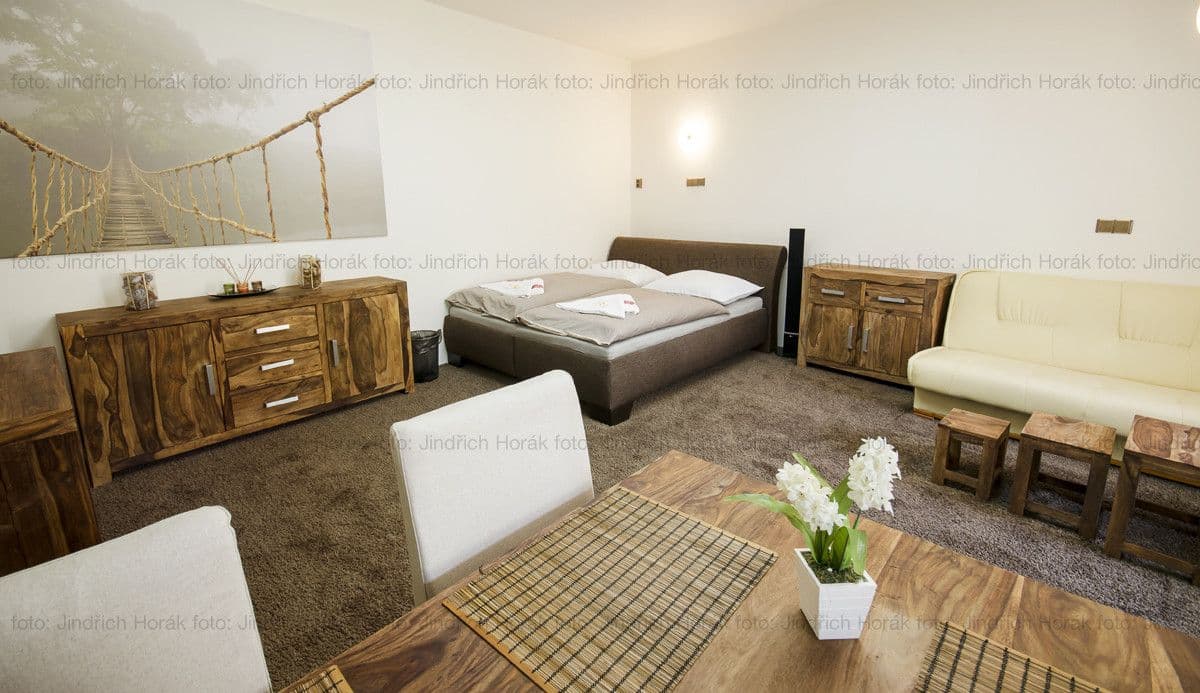 Pronájem bytu 55 m², Budilova, Plzeň, Plzeňský kraj Pronájem bytu 55 m², Budilova, Plzeň, Plzeňský kraj