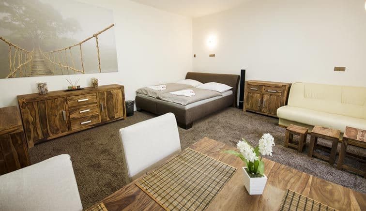 Pronájem bytu 55 m², Budilova, Plzeň, Plzeňský kraj Pronájem bytu 55 m², Budilova, Plzeň, Plzeňský kraj