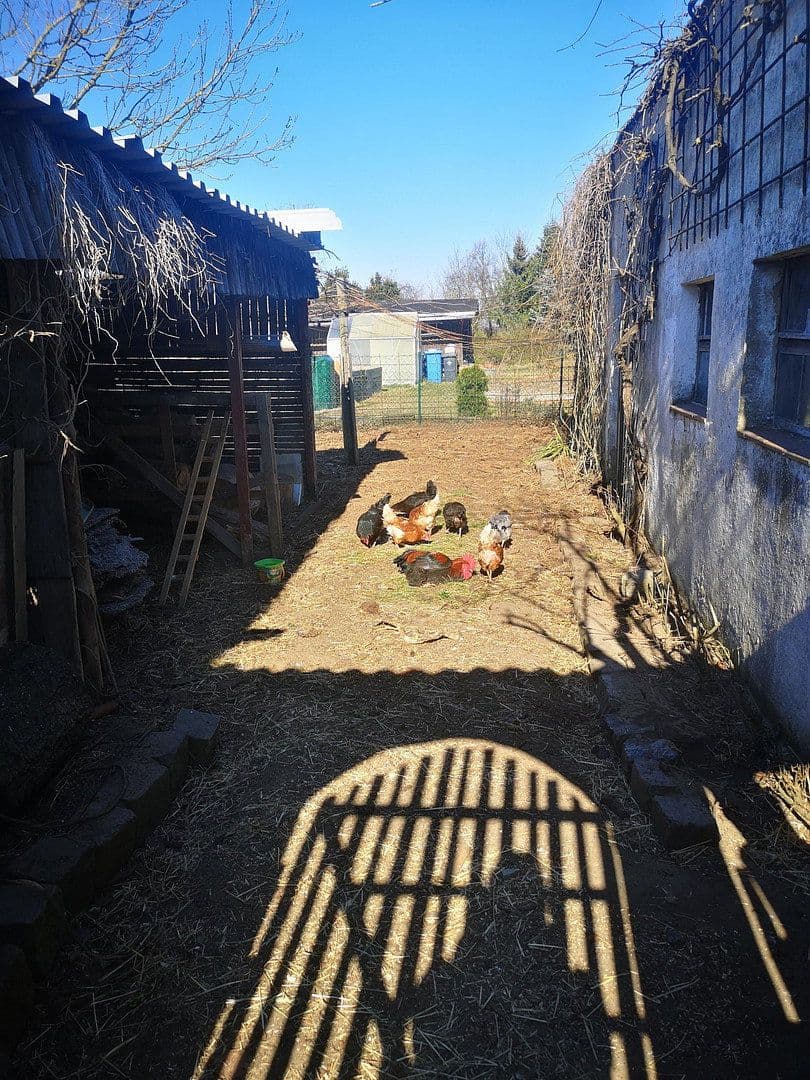 Prodej domu 180 m², pozemek 1.633 m², Petershagen/Eggersdorf, Braniborsko Prodej domu 180 m², pozemek 1.633 m², Petershagen/Eggersdorf, Braniborsko