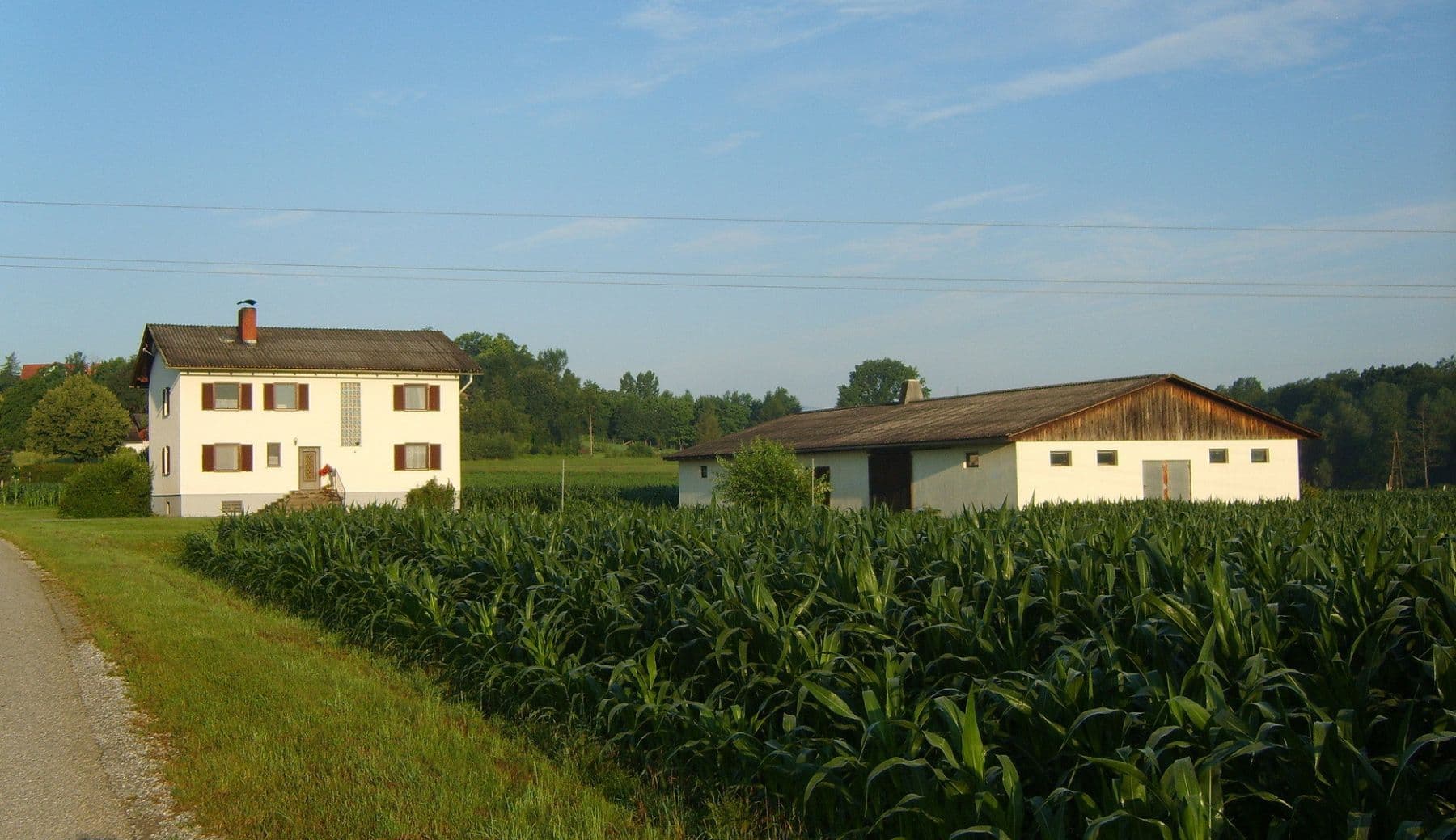 Prodej pozemku 61.000 m², Wettmannstätten, Štýrsko Prodej pozemku 61.000 m², Wettmannstätten, Štýrsko