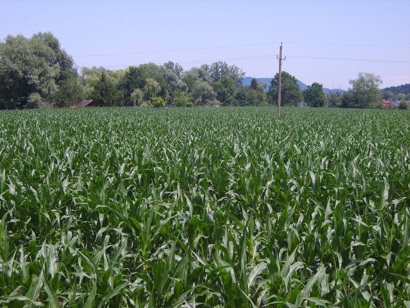 Prodej pozemku 61.000 m², Wettmannstätten, Štýrsko Prodej pozemku 61.000 m², Wettmannstätten, Štýrsko