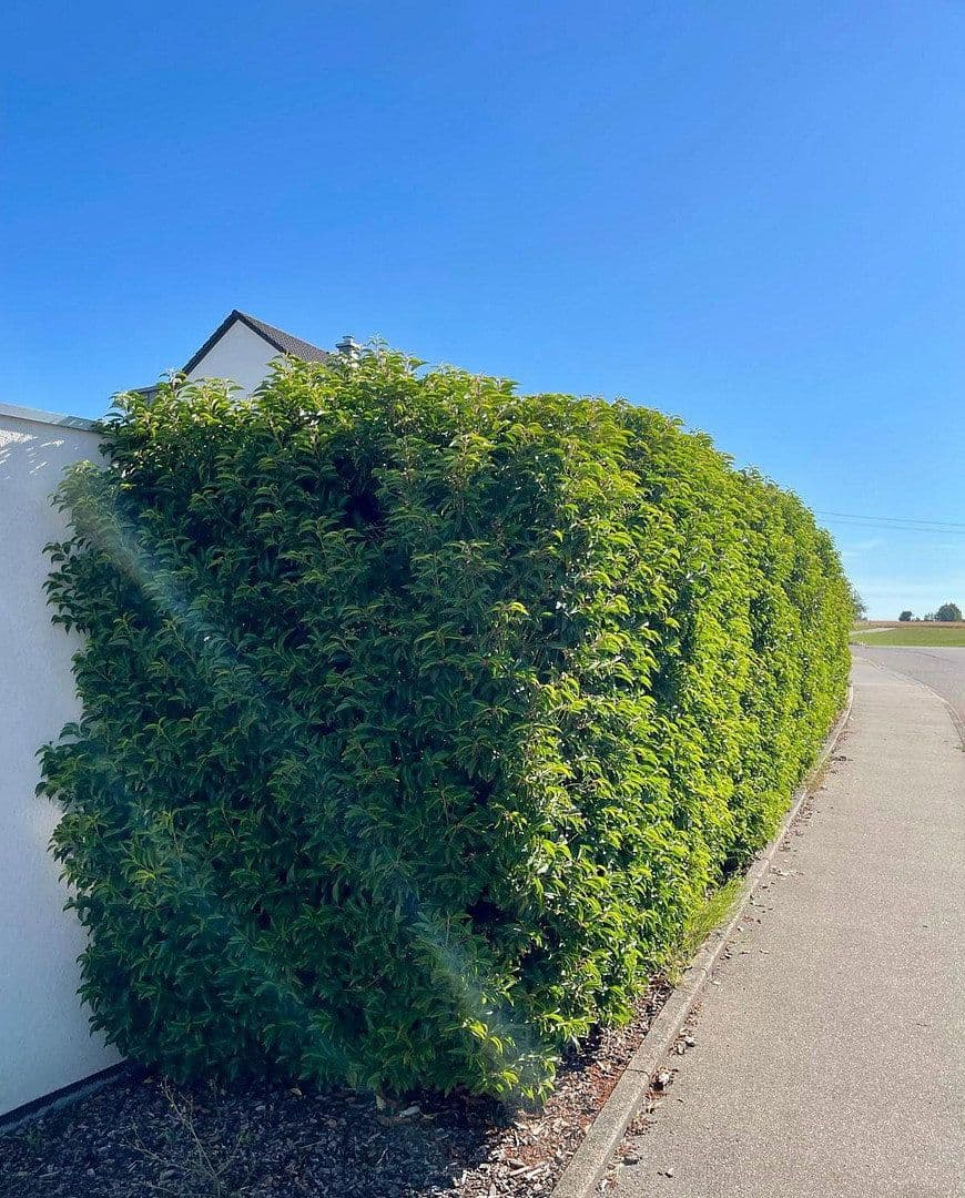 Pronájem domu 155 m², pozemek 418 m², Eutingen im Gäu, Bádensko-Württembersko Pronájem domu 155 m², pozemek 418 m², Eutingen im Gäu, Bádensko-Württembersko