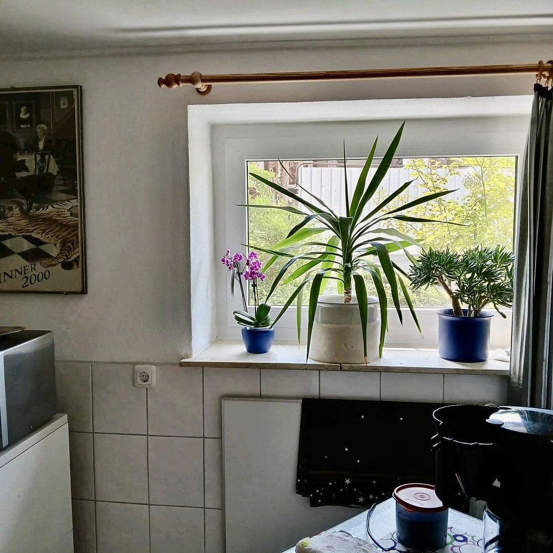 Prodej domu 63 m², pozemek 67 m², Vilshofen an der Donau, Bavorsko Prodej domu 63 m², pozemek 67 m², Vilshofen an der Donau, Bavorsko