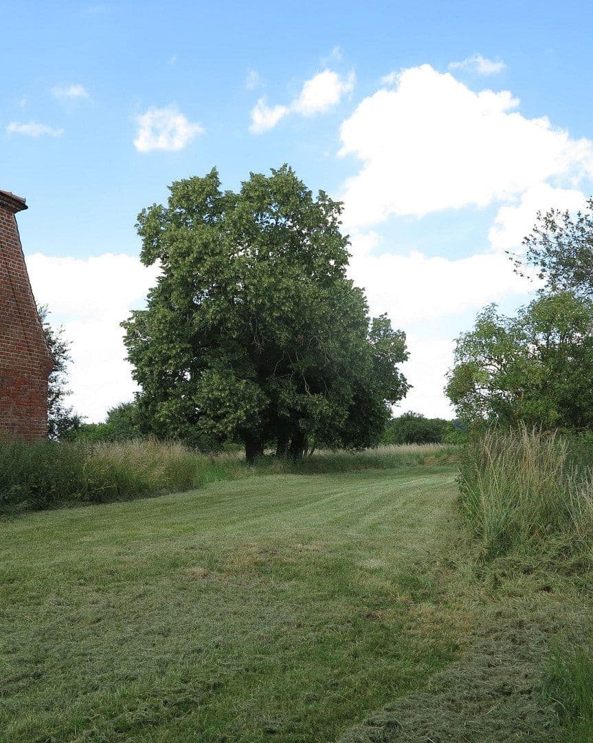 Prodej domu 1.200 m², pozemek 7.000 m², Ivenack, Mecklenburg-Vorpommern Prodej domu 1.200 m², pozemek 7.000 m², Ivenack, Mecklenburg-Vorpommern