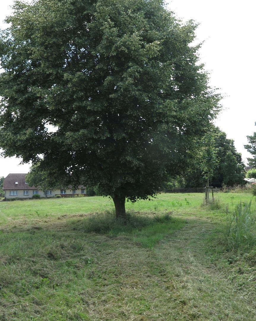 Prodej domu 1.200 m², pozemek 7.000 m², Ivenack, Mecklenburg-Vorpommern Prodej domu 1.200 m², pozemek 7.000 m², Ivenack, Mecklenburg-Vorpommern