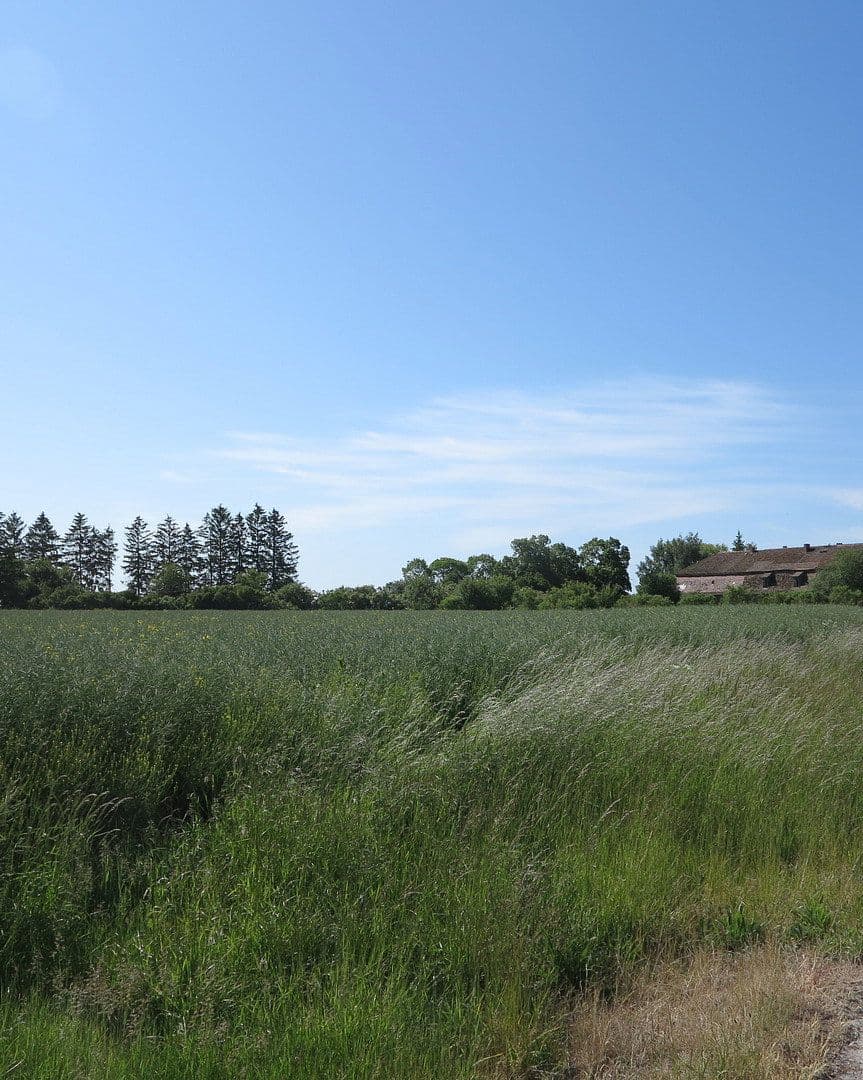 Prodej domu 1.200 m², pozemek 7.000 m², Ivenack, Mecklenburg-Vorpommern Prodej domu 1.200 m², pozemek 7.000 m², Ivenack, Mecklenburg-Vorpommern
