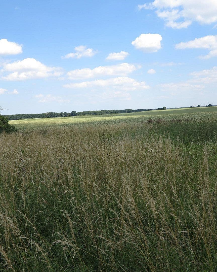 Prodej domu 1.200 m², pozemek 7.000 m², Ivenack, Mecklenburg-Vorpommern Prodej domu 1.200 m², pozemek 7.000 m², Ivenack, Mecklenburg-Vorpommern