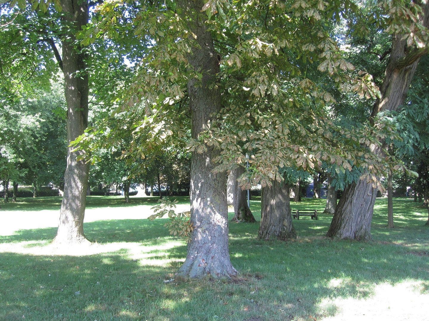 Prodej domu 3.600 m², pozemek 8.126 m², Zettemin, Mecklenburg-Vorpommern Prodej domu 3.600 m², pozemek 8.126 m², Zettemin, Mecklenburg-Vorpommern