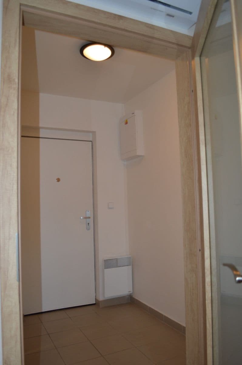 Pronájem bytu 1+kk 33 m², Kosmákova, Brno, Jihomoravský kraj Pronájem bytu 1+kk 33 m², Kosmákova, Brno, Jihomoravský kraj