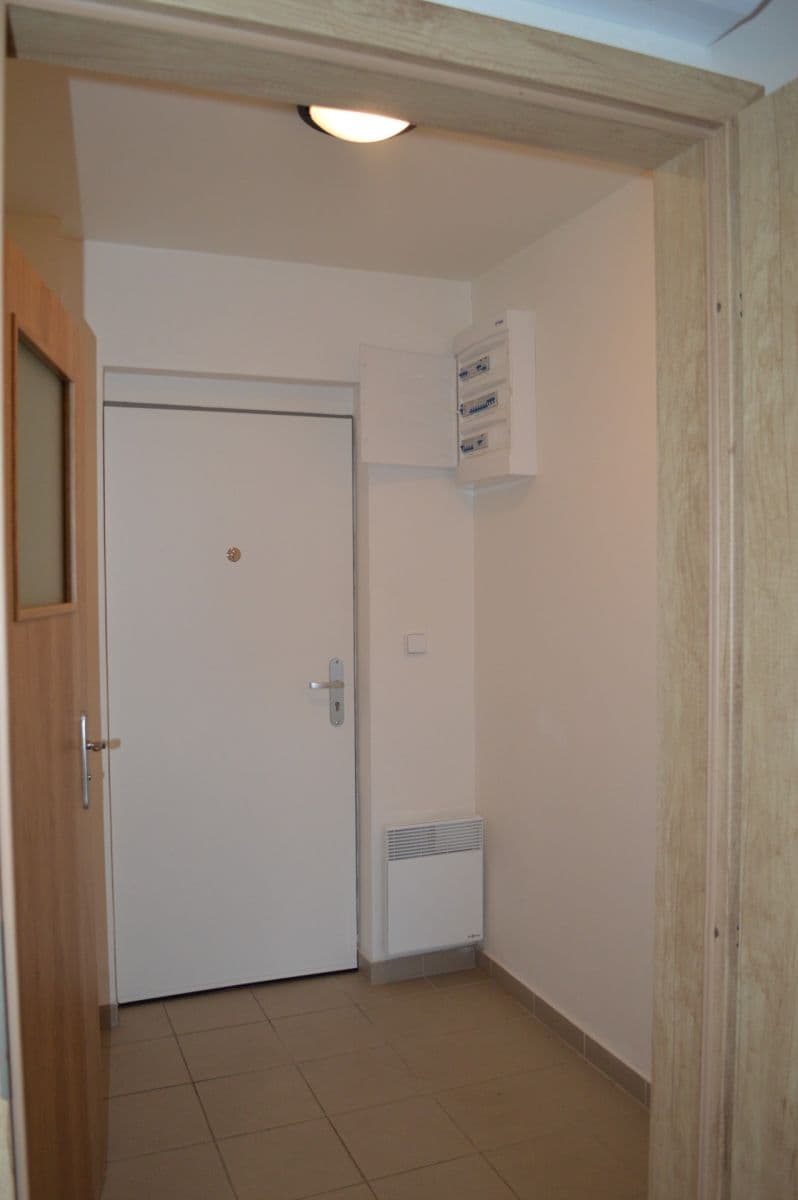 Pronájem bytu 1+kk 33 m², Kosmákova, Brno, Jihomoravský kraj Pronájem bytu 1+kk 33 m², Kosmákova, Brno, Jihomoravský kraj