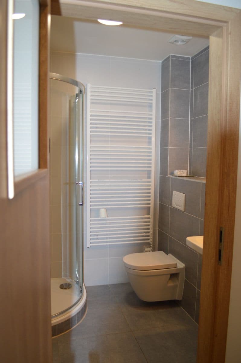 Pronájem bytu 1+kk 33 m², Kosmákova, Brno, Jihomoravský kraj Pronájem bytu 1+kk 33 m², Kosmákova, Brno, Jihomoravský kraj